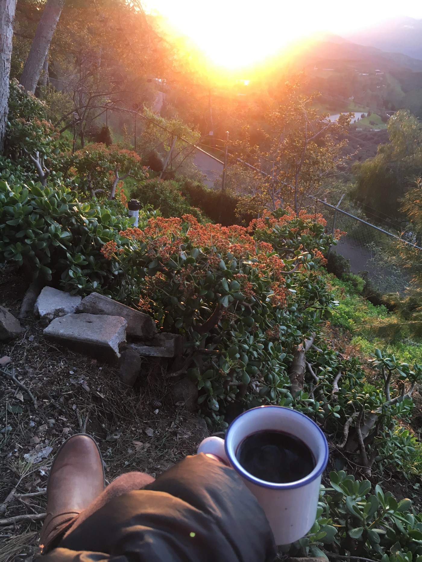 Laurie Markvart, Malibu, Writing, Creativity